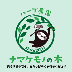 コリアンダーシード50ｇ